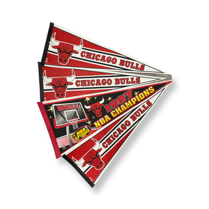 90s Chicago Bulls Banner Pins